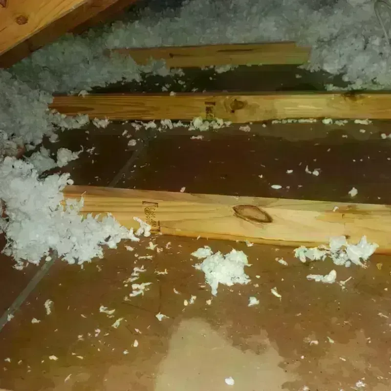 Attic Water Damage in Plainview, NY